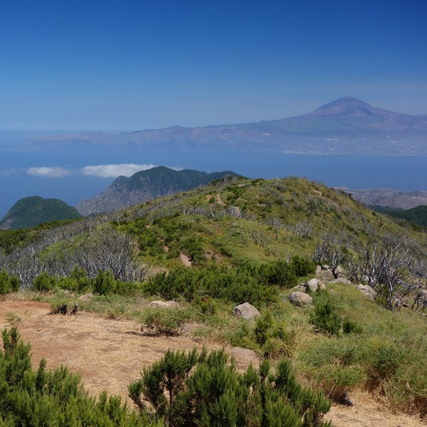 Vue panoramique sur les îles des Canaries depuis les chemins de la Gomera