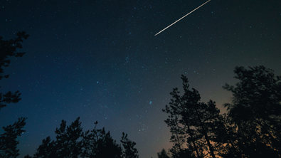 Stelle