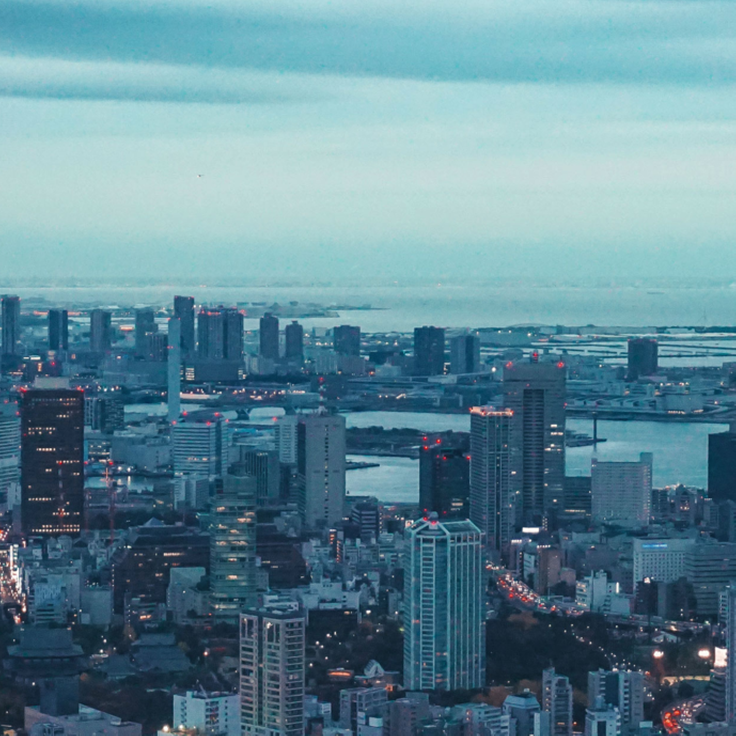 Vista panorámica de Tokio con la Torre de Tokio
