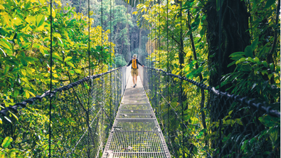 Wanderer auf Hängebrücke im Regenwald von Costa Rica