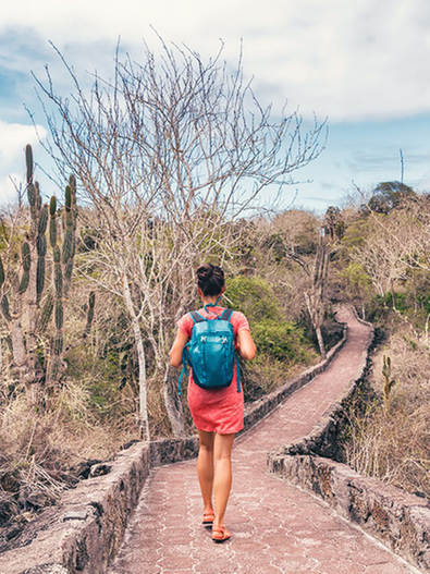Wanderweg zum Tortuga Bay, Galapagos