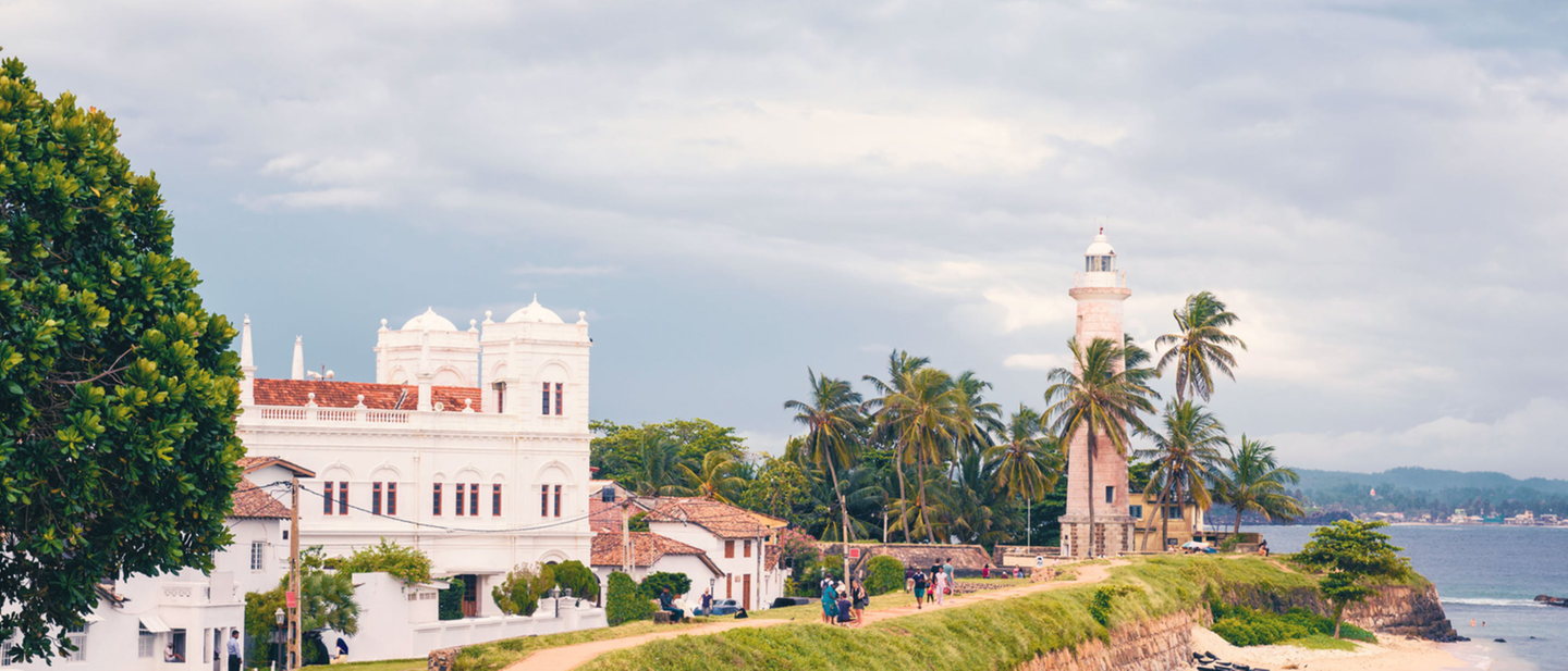 Il fiore di loto in Sri Lanka: il simbolo nazionale è il dono più comune da  portare nei templi - TravelGlobe