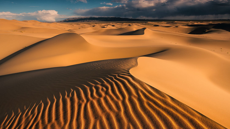 Gobi in der Mongolei
