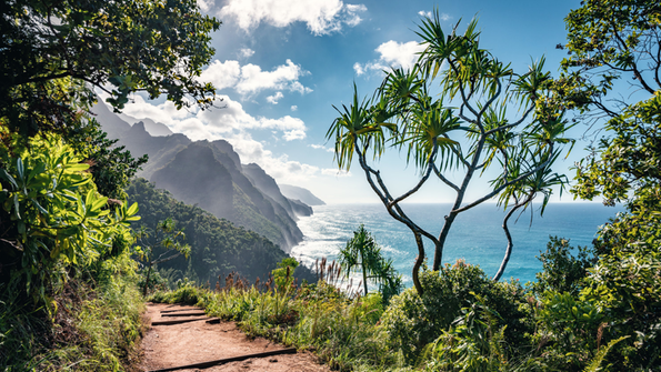 Blick auf die Küste auf dem Kalalau Trail