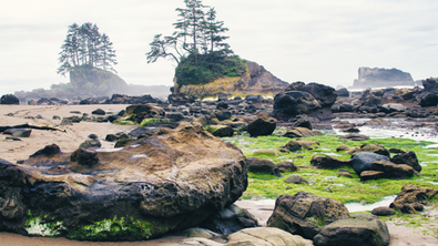 Steiniger Strand mit kleinen Inseln auf dem West Coast Trail