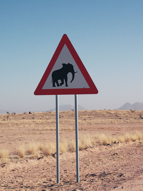 Panneau de circulation signalant des traversées d'éléphant