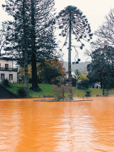 Terra Nostra Park in Furnas, Azoren