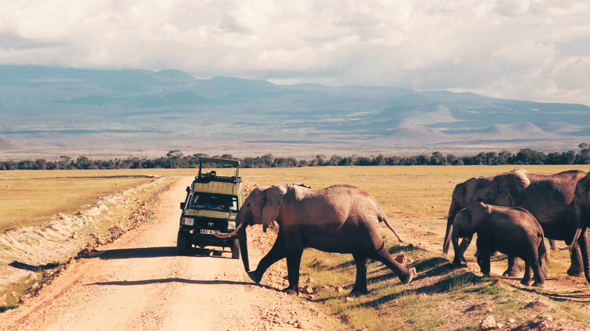 safari kenia mit kindern