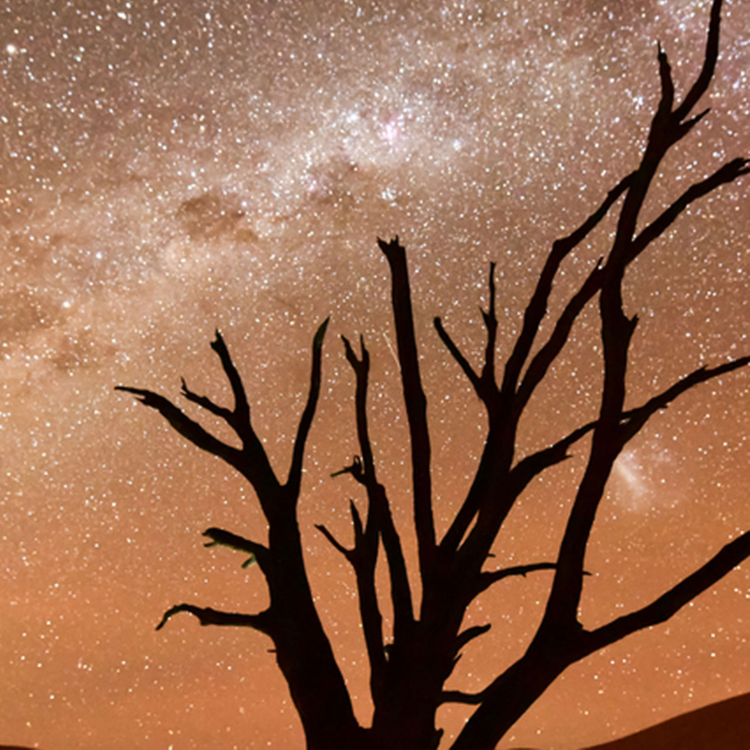 Cielo estrellado en el desierto de Namib, Namibia