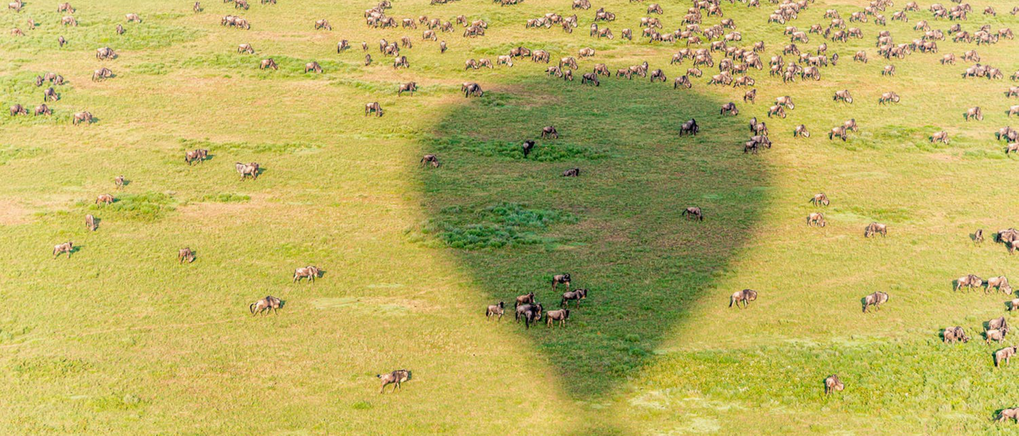 Annuleringsgarantie Tanzania