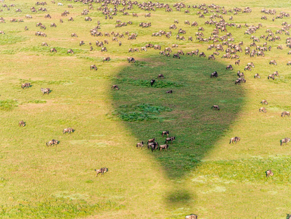 Annuleringsgarantie Tanzania