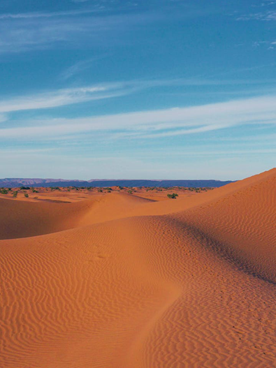 Ausblick auf die Sahara