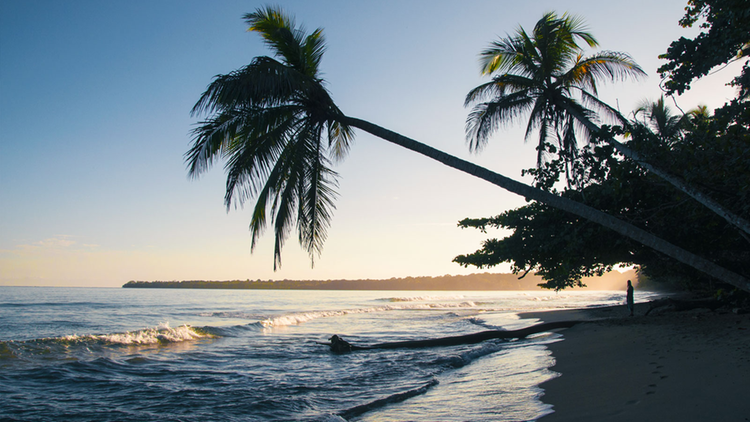 15 playas de arena blanca ideales para hacer una escapada al verano en  pleno invierno