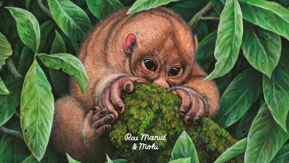 Die wundersamen Zwölf - Cover