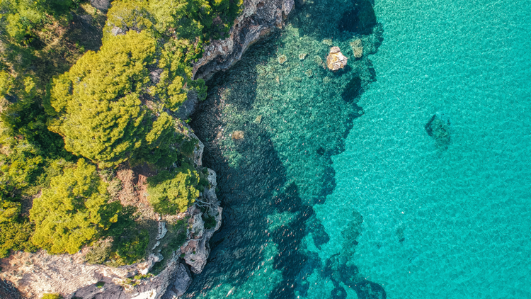 Les fonds marins de l'île d'Alonissos