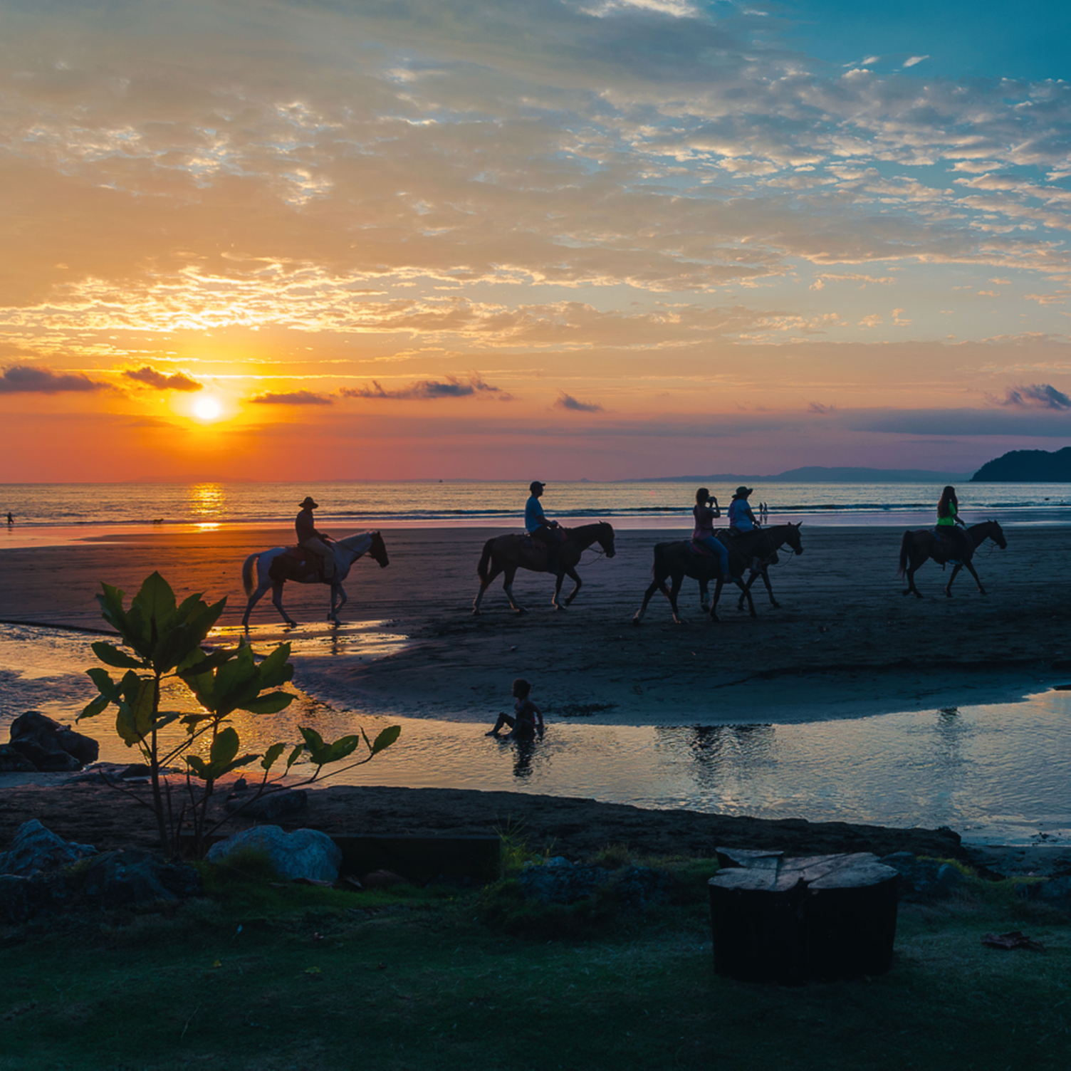 Groupe de cavaliers sur une plage au coucher du soleil