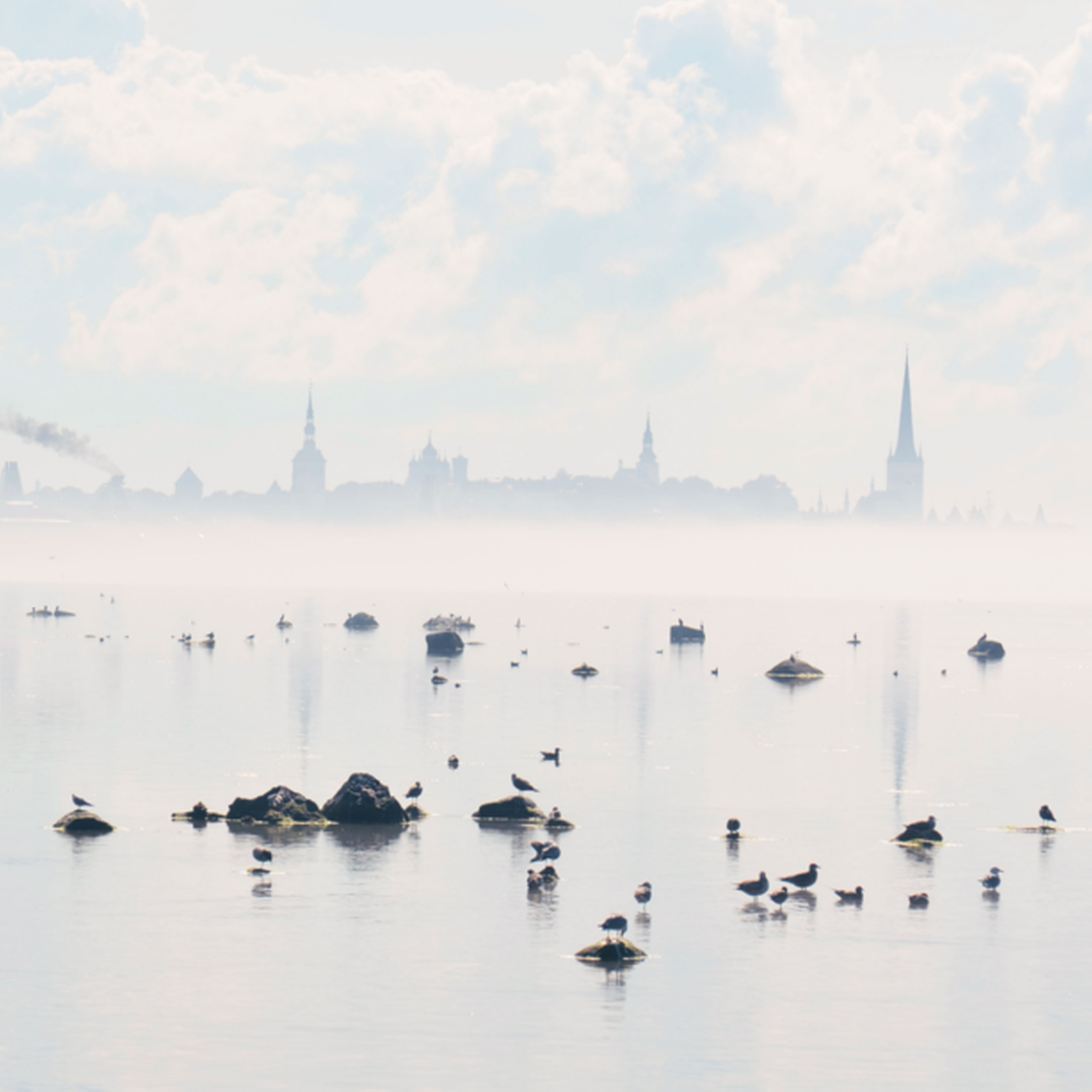 Vista panorámica de Tallin en la niebla