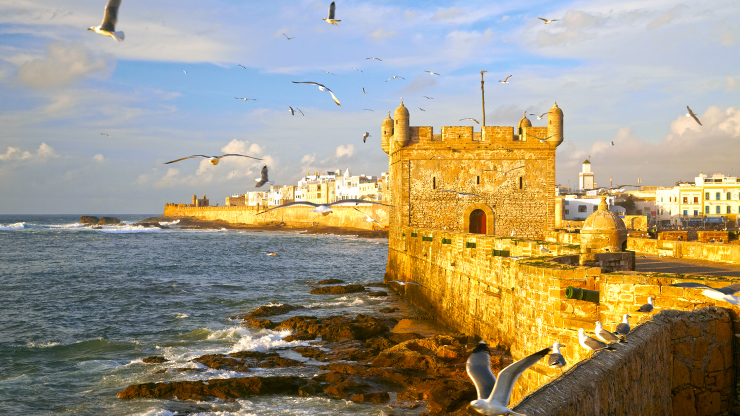 Que faire à Essaouira : nos 10 activités préférées | Evaneos