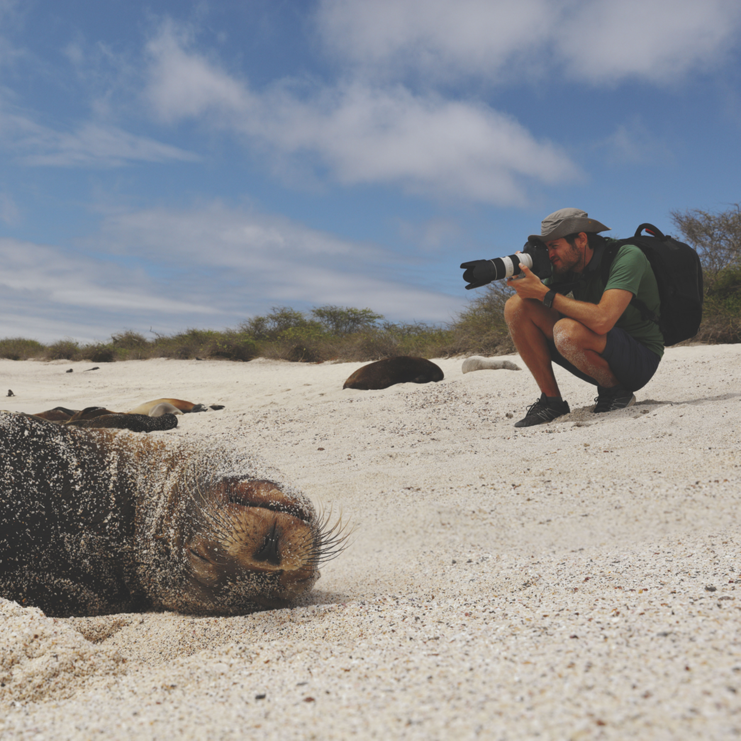 Un homme photographiant des otaries sur une plage des Galapagos