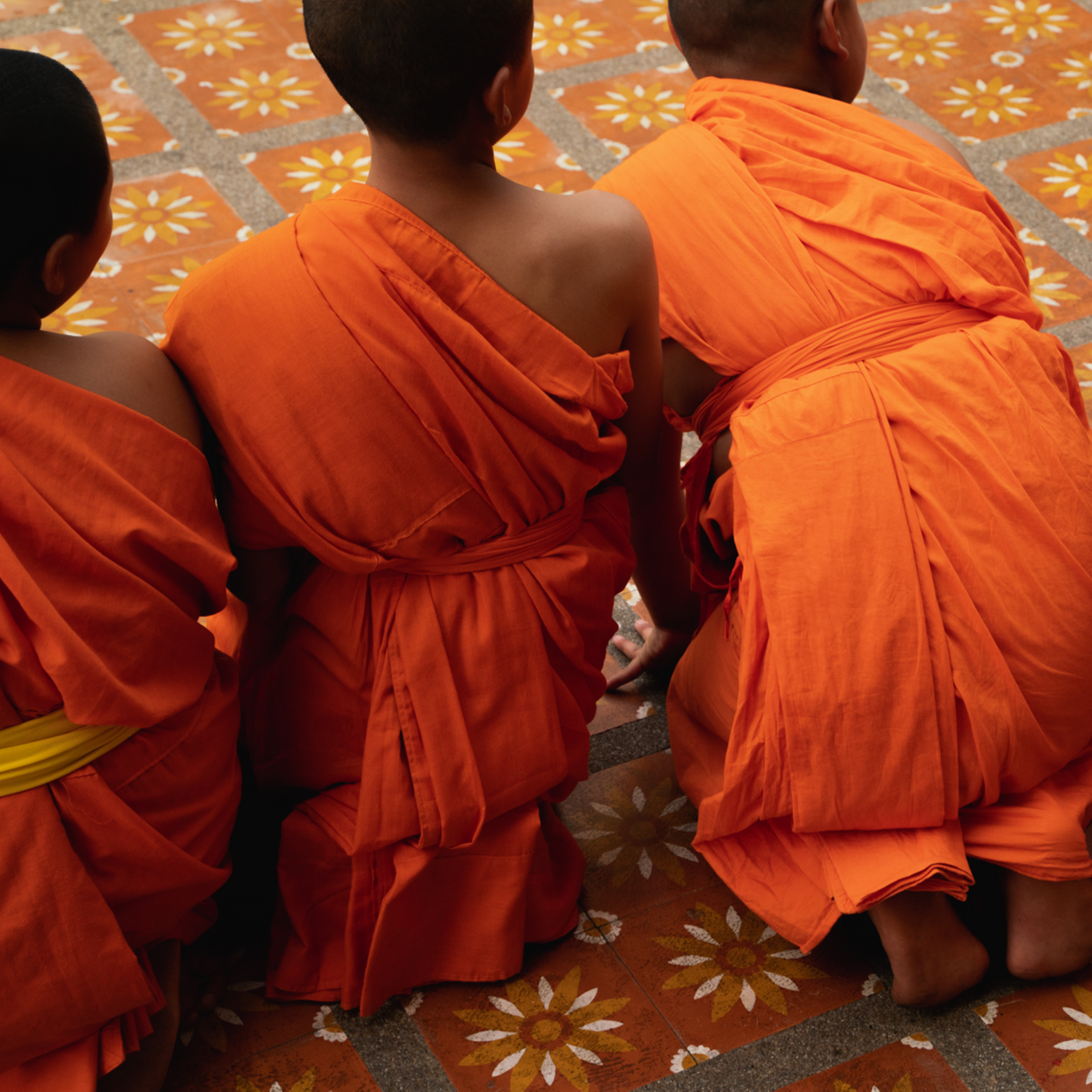 Gruppen junger thailändischer Mönche von hinten in safranfarbenen Roben