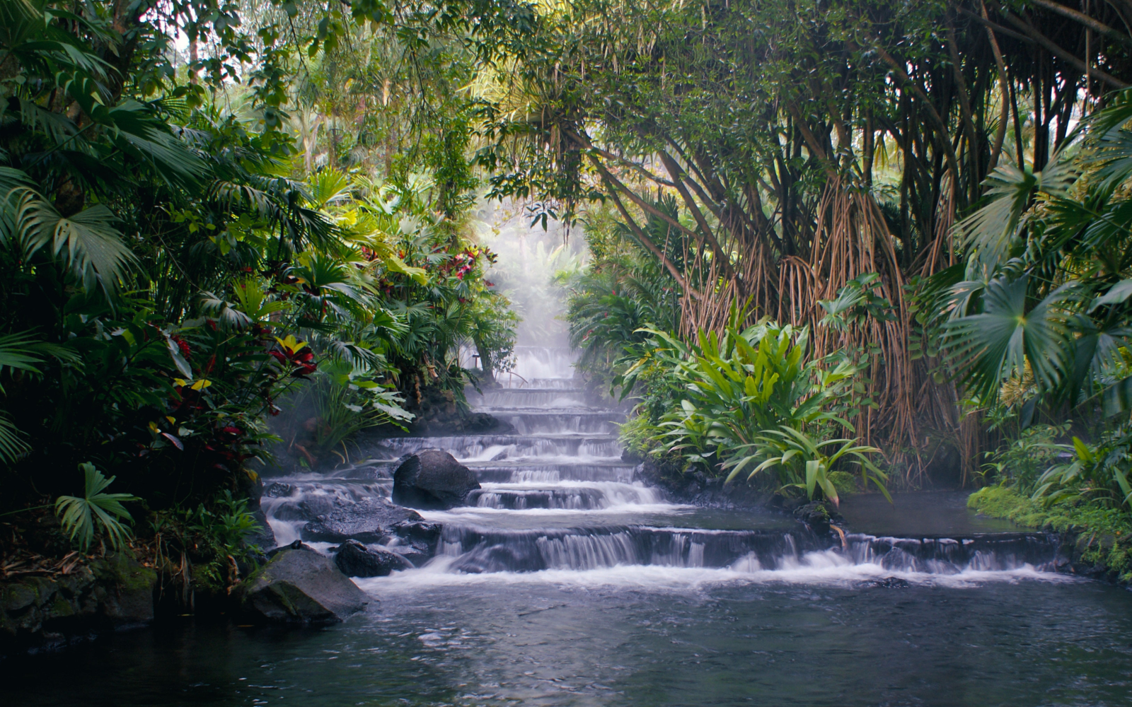 Take a dip in Costa Rica's hot springs | Evaneos