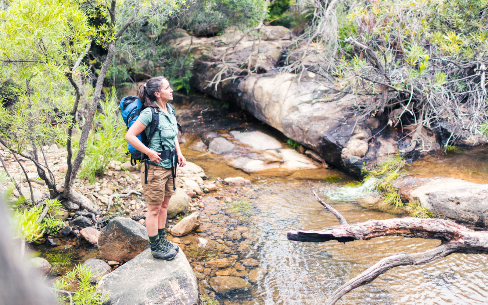 Suivre les meilleurs chemins de randonnée dans la nature sud-africaine ...
