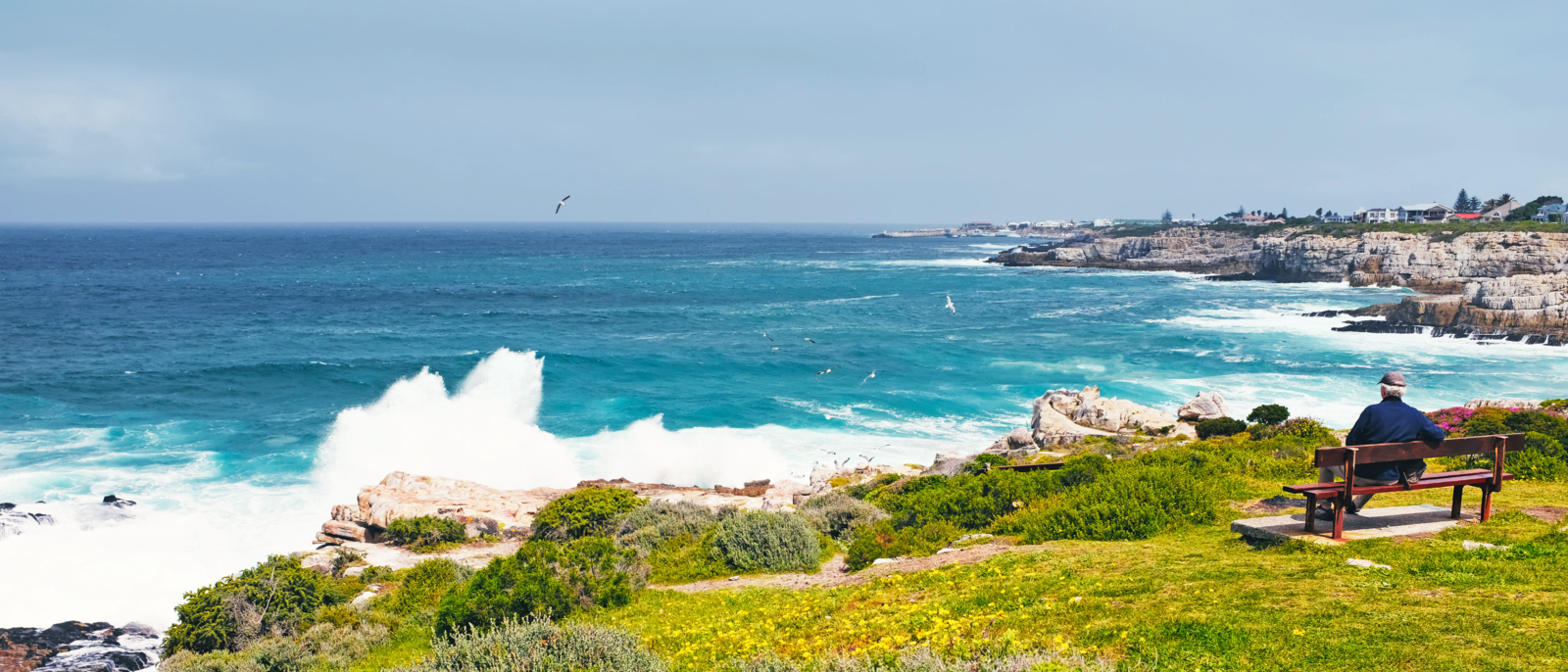 Hermanus is the best land based place to spot the migrating southern right wales during winter and springtime. The Atlantic Ocean is very rough at this location.
