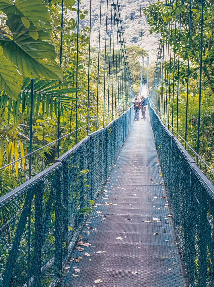 Walking on hanging bridges in Cloudforest - Adventure in your vacation