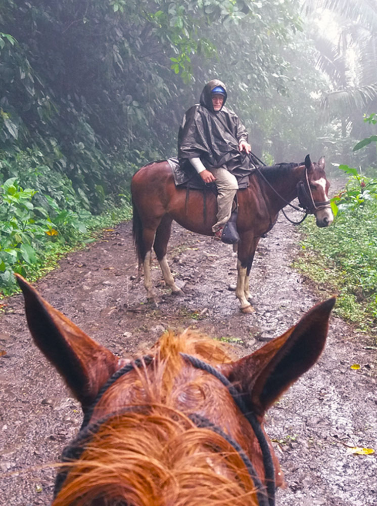 Senior men in rain on horseback riding on dirt road in the tropical rainforest. At the foot of Volcano Arenal in tropical forest of Costa Rica. In front view from horse back (horse head only).