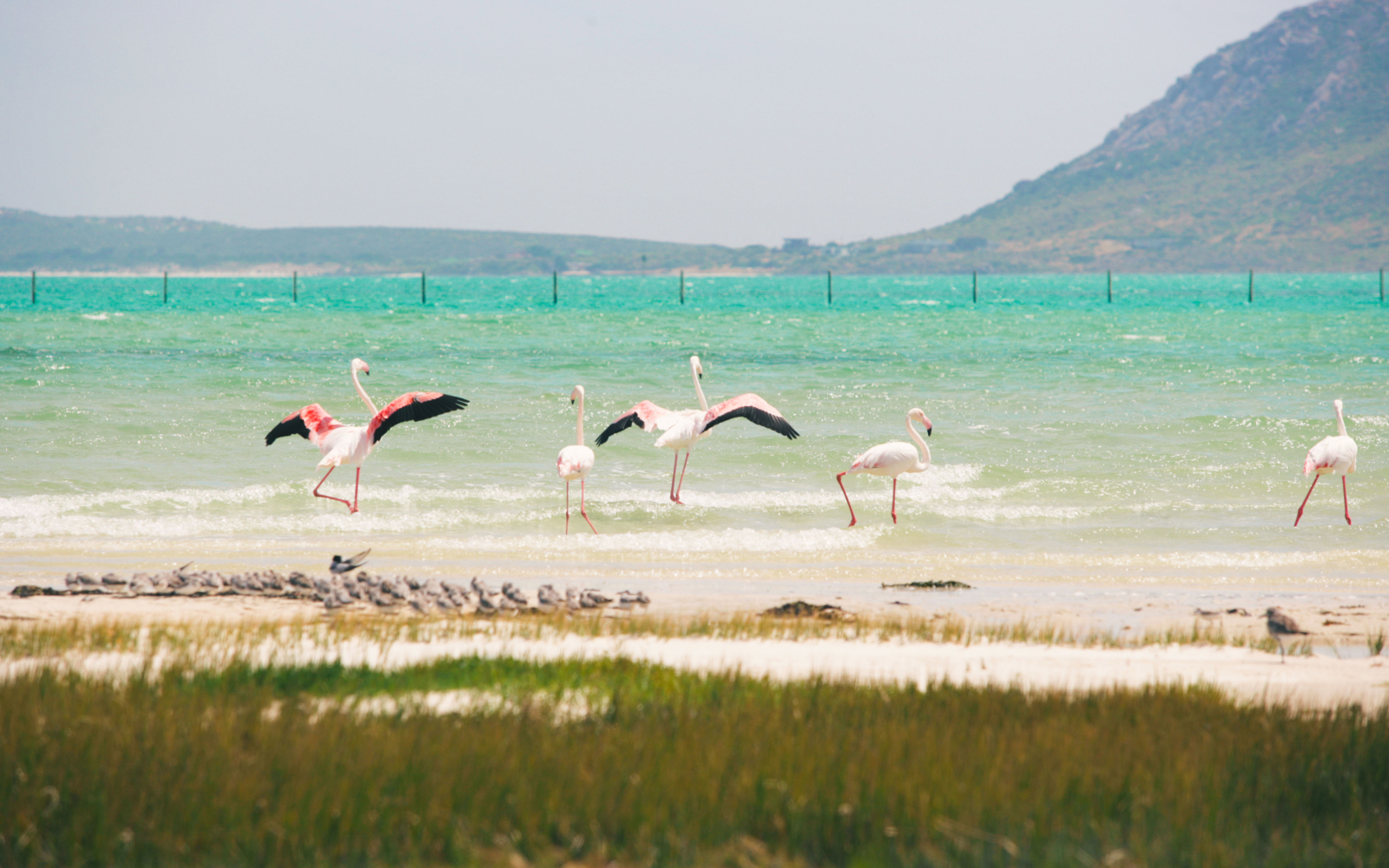 Relax in the Langebaan lagoon in South Africa Evaneos