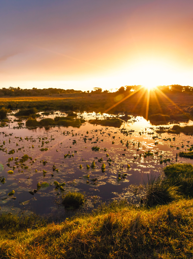 02 Sunset in the lake with water lilies, iSimangaliso Wetland Park, KwaZulu Natal, South Africa