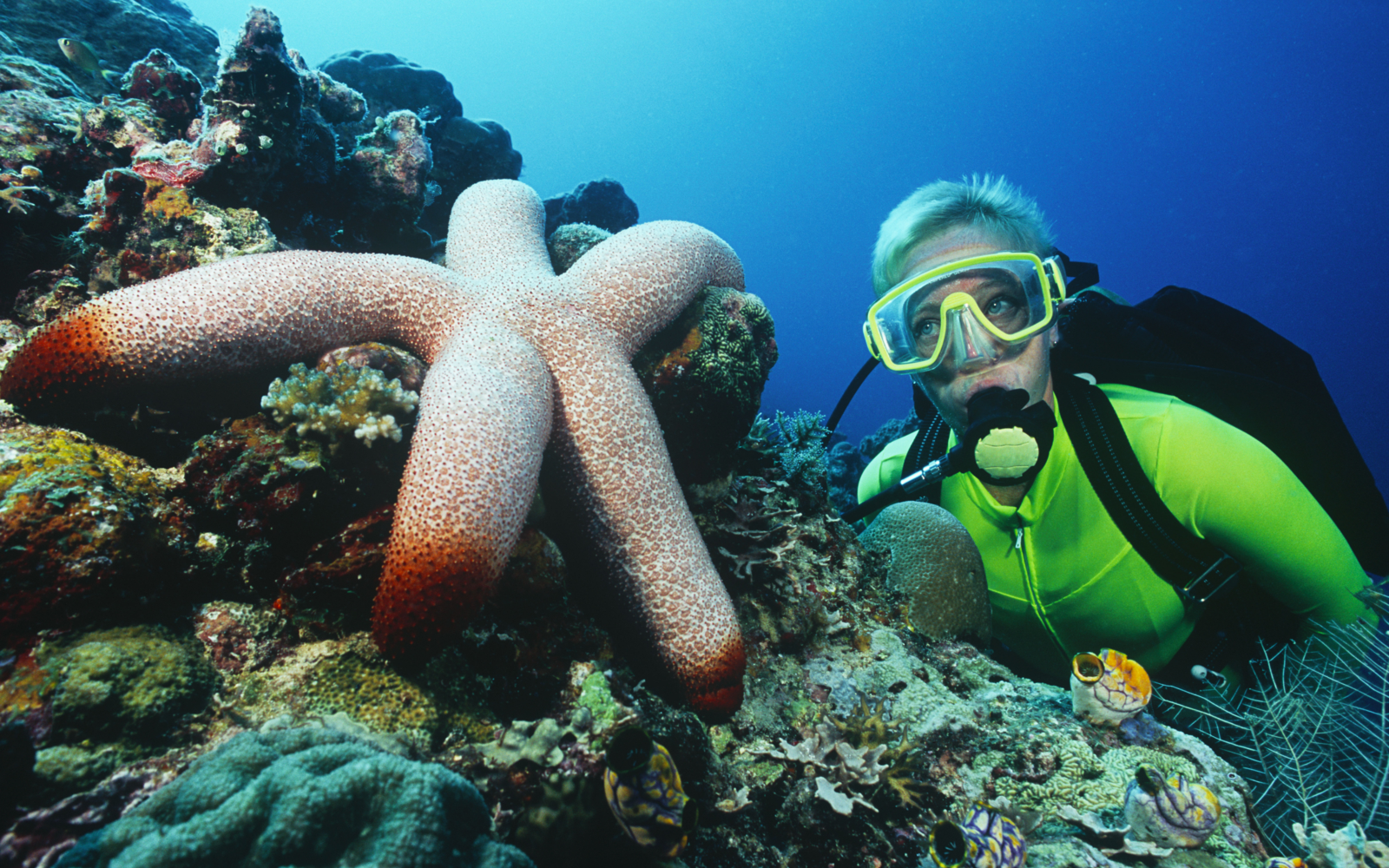 Find the top scuba diving spots in South Africa Evaneos