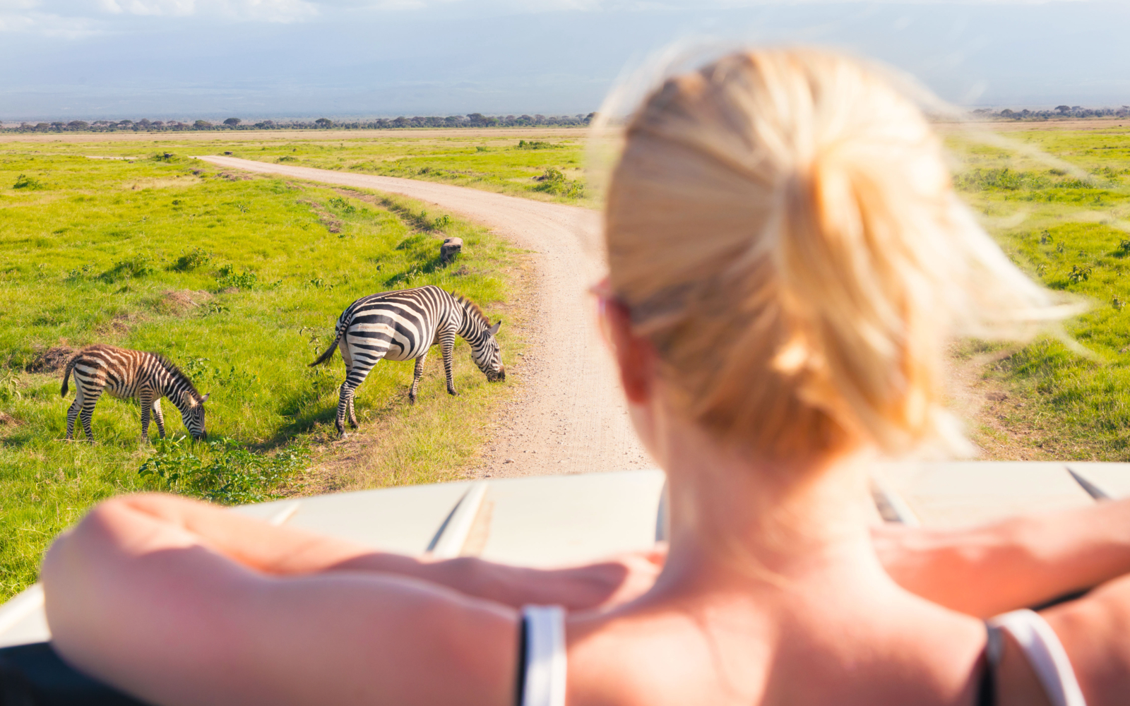 Profiter D Un Safari Exclusif Dans Une R Serve Priv E D Afrique Du Sud Evaneos