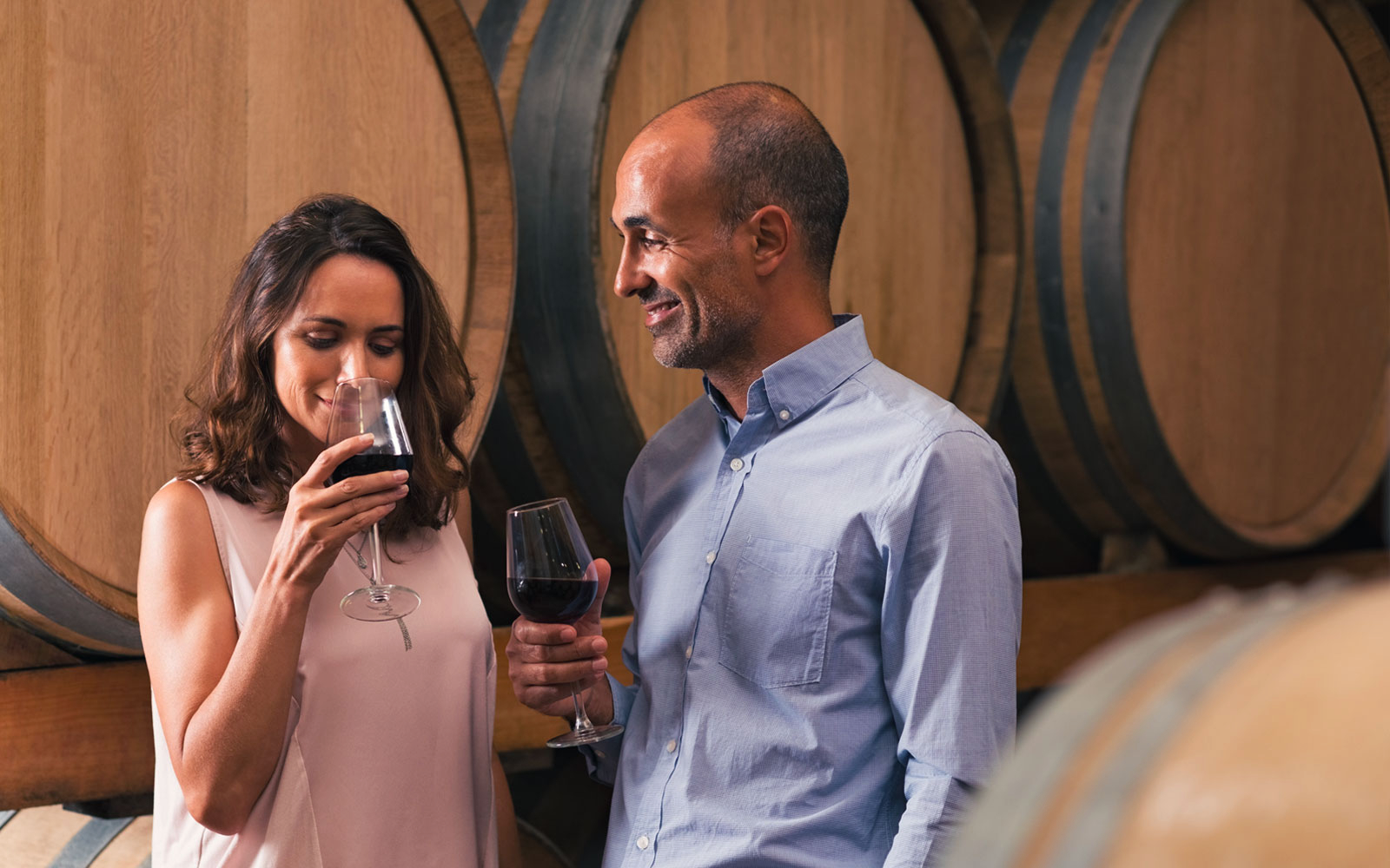 Taste South Africa’s best vintages along the Wine Route Evaneos