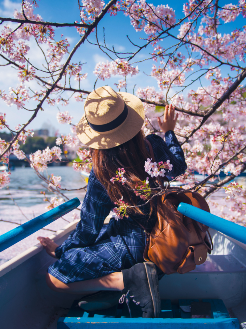 Asian woman is enjoy travel in Japan during spring season