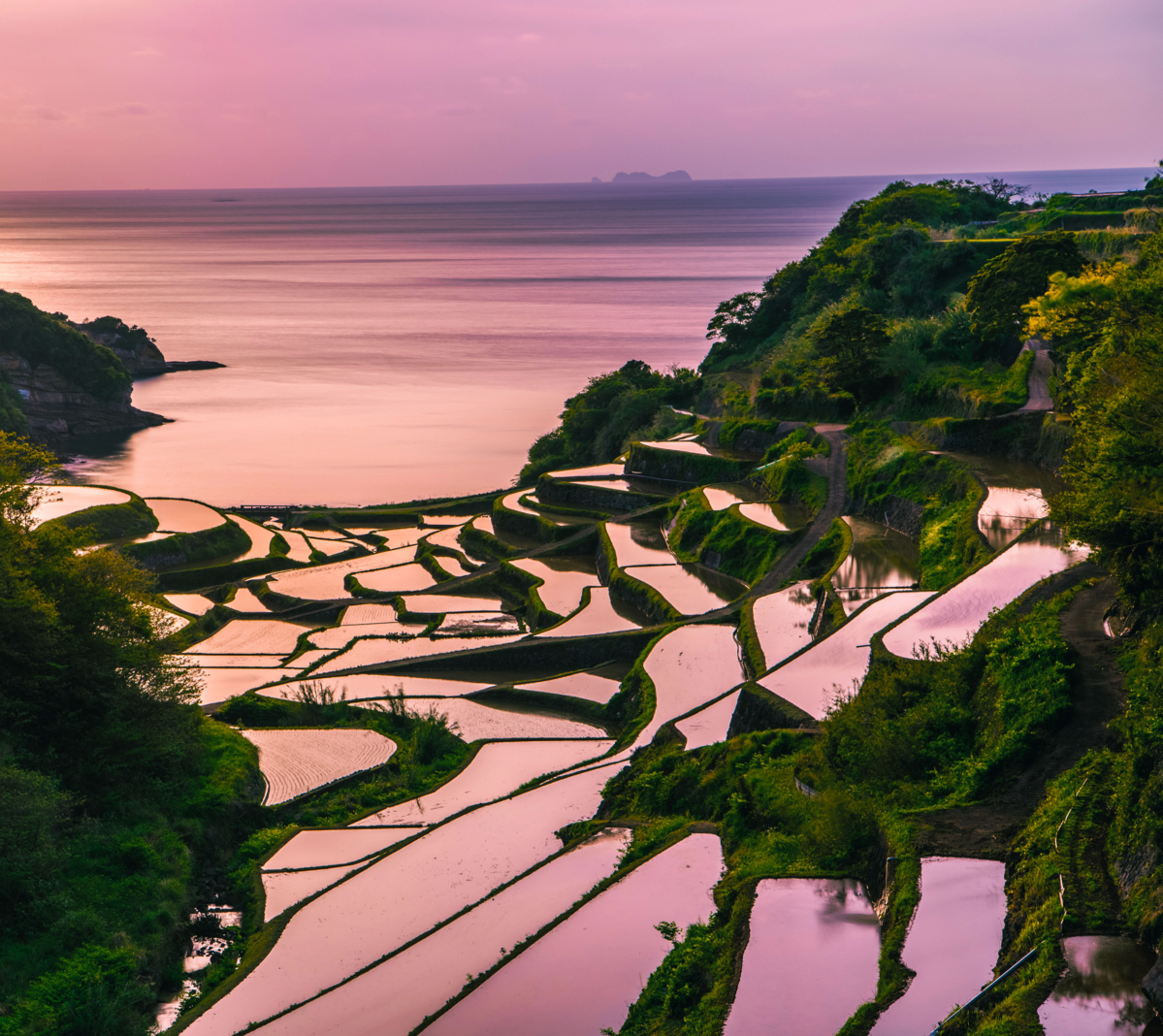 Hanamanoura Tanada, sunset on the rice field, kyushu, japan