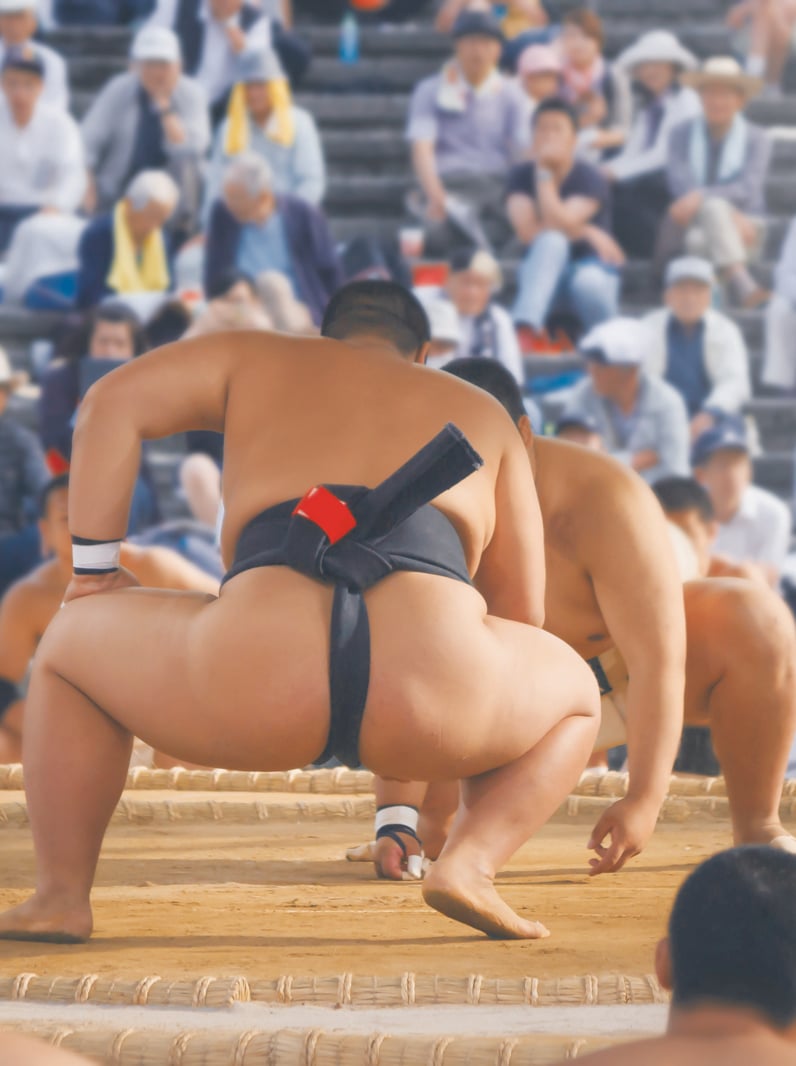 Student sumo wrestler