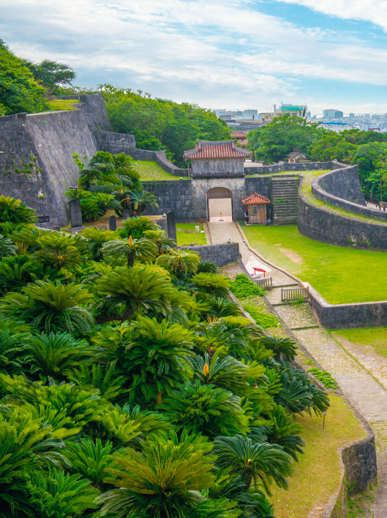 aerial view of shuri castle in okinawa, japan