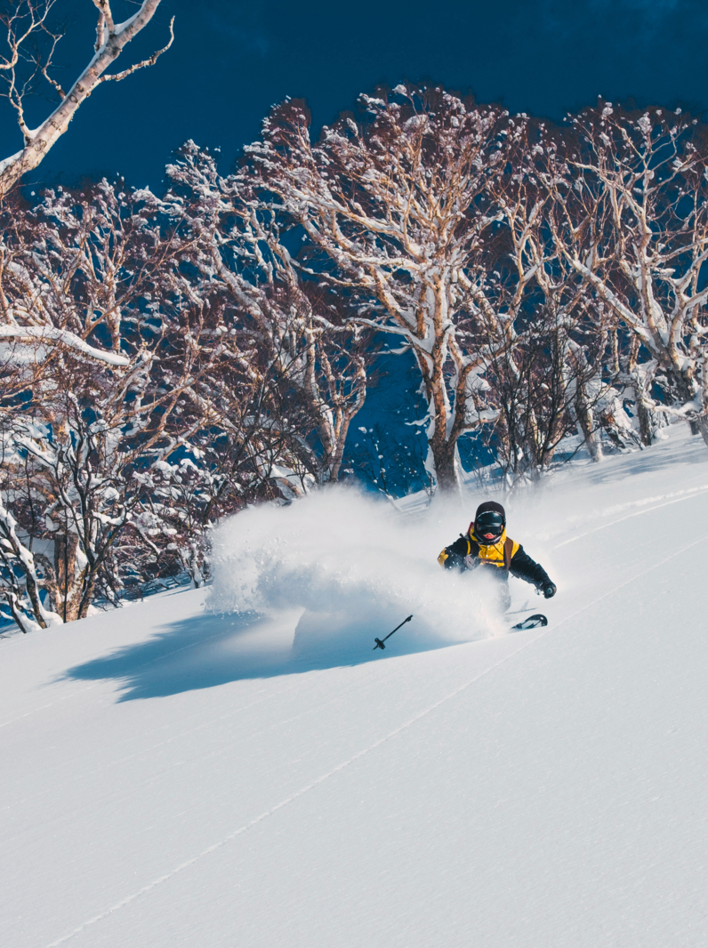Extreme pro skier shredding the deep powder snow in the sunny Japanese mountains. Cool shot of an active male tourist skiing off piste and carving down the untouched mountain