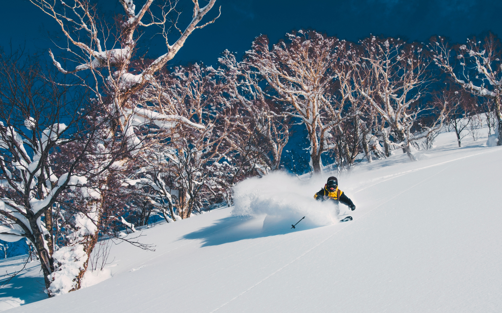 Ski down the Japanese slopes Evaneos