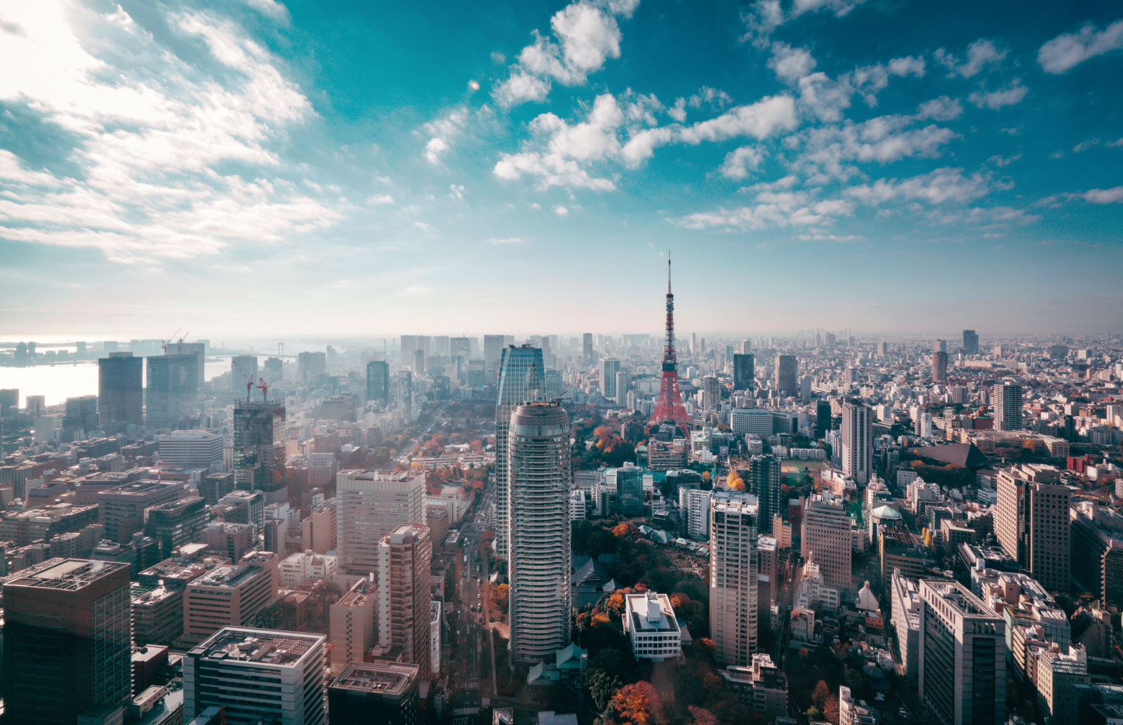 Attraper La Folie Des Grandeurs Du Haut Des Gratte-ciels De Tokyo | Evaneos