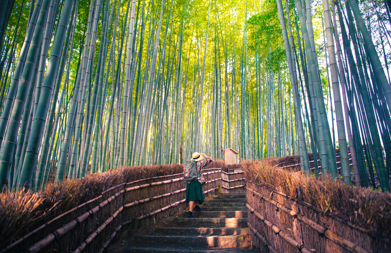 Meander through Kyoto's temples and gardens | Evaneos