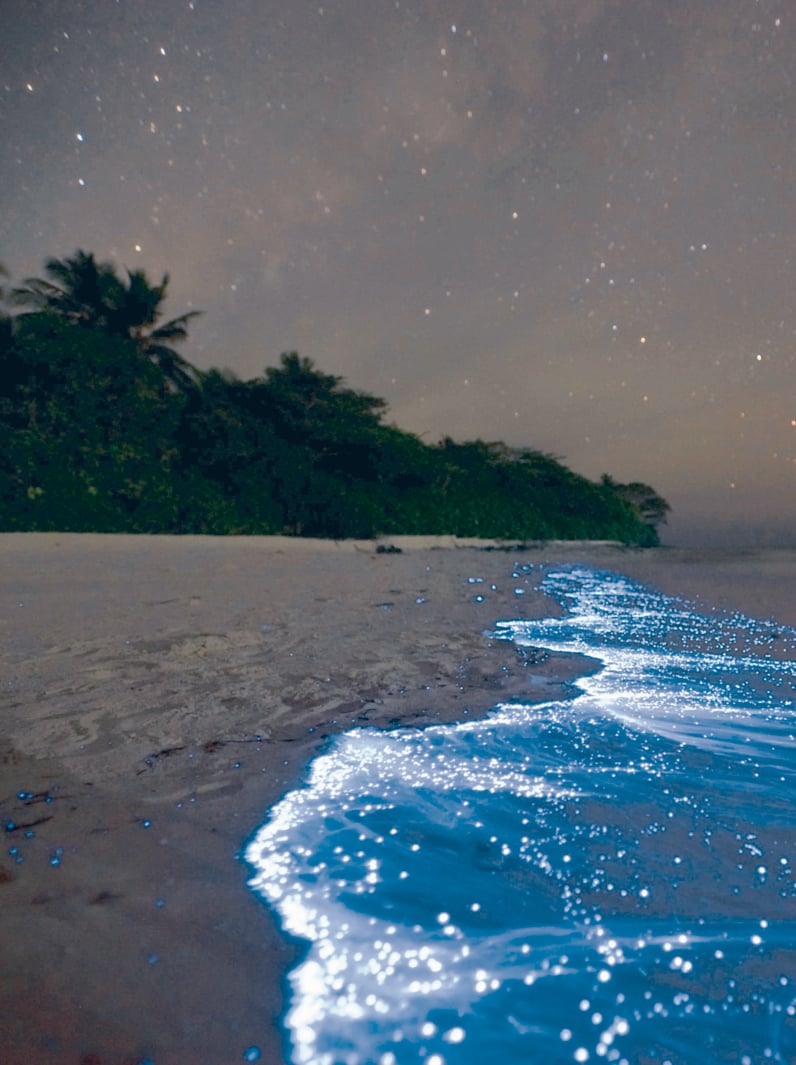 photo of the ocean where there is a Glow plankton's in the water, making blue light