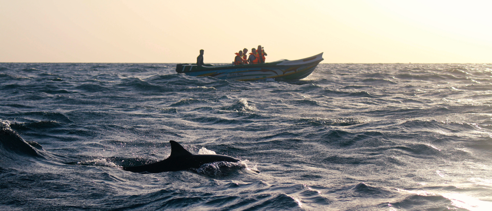 In search of the dolphins in Trincomalee. Taken in Sri Lanka, August 2018