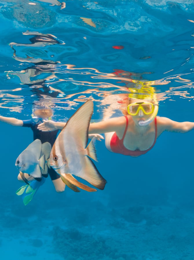 Mère, enfant au masque de plongée plonger sous l’eau avec des poissons tropicaux