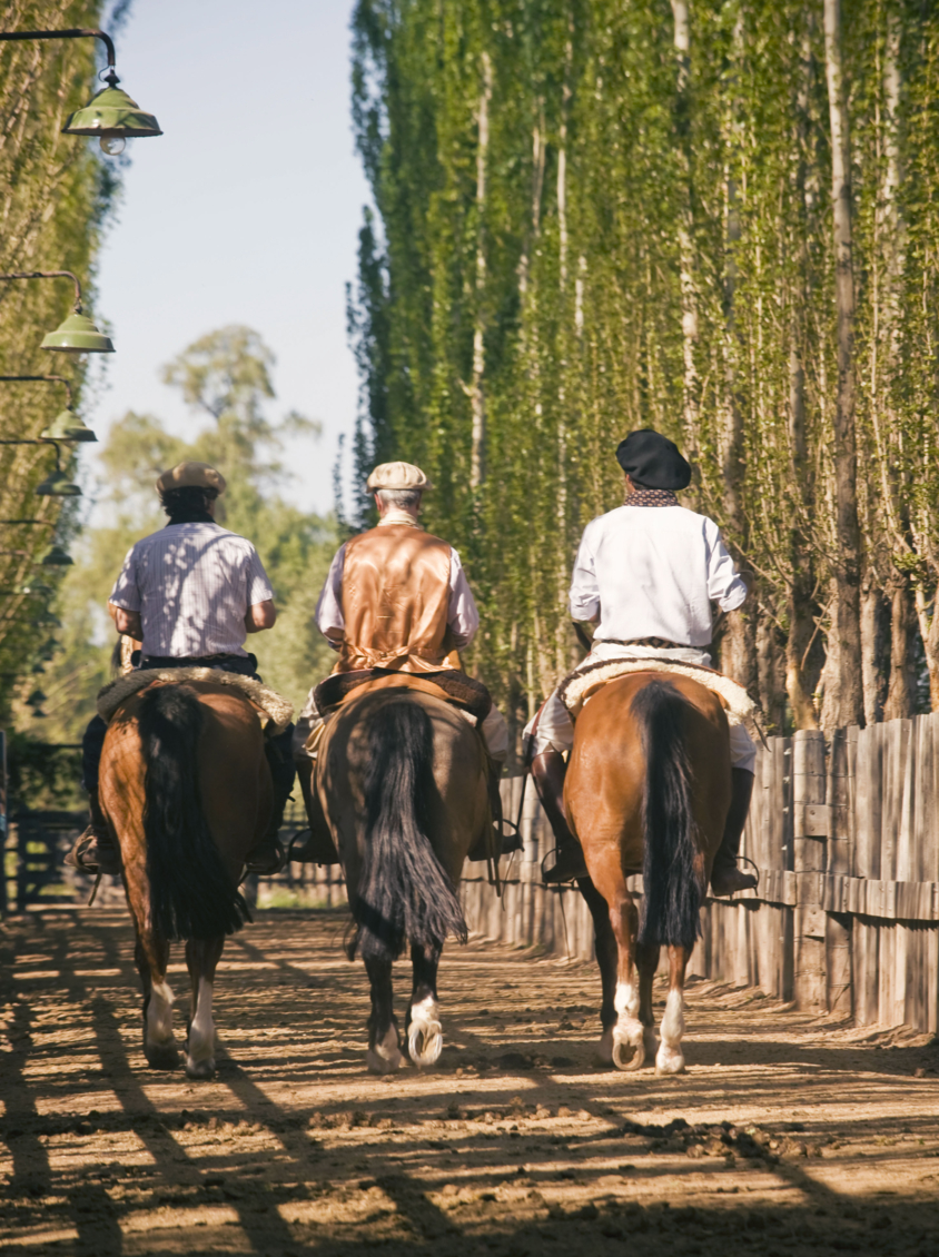 Three Gauchos riding Horses in Argentina
