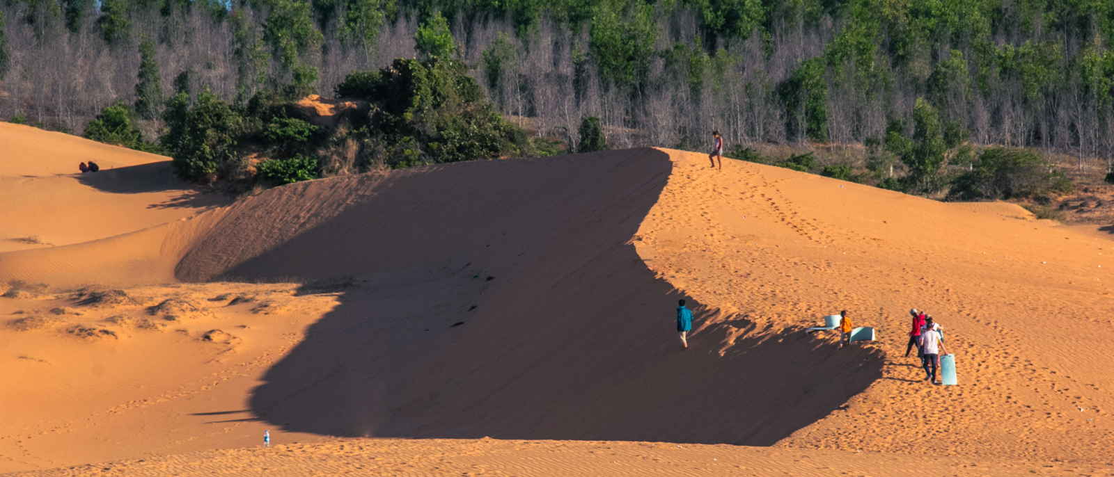 People are holding boards to play at the Red sand dunes