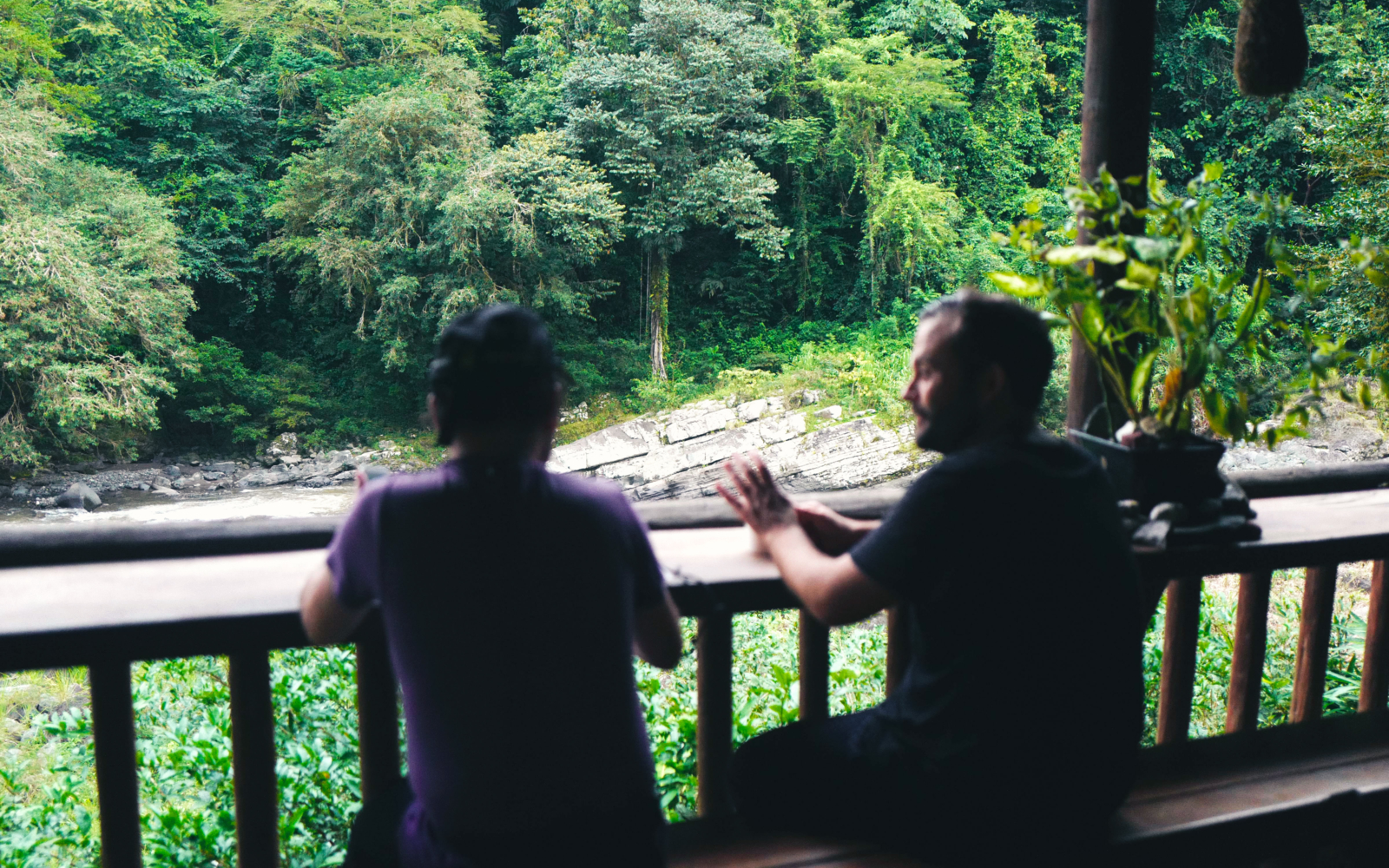 J Irai Dormir Chez Vous Costa Rica Dormir dans un écolodge au coeur de la jungle costaricienne | Evaneos