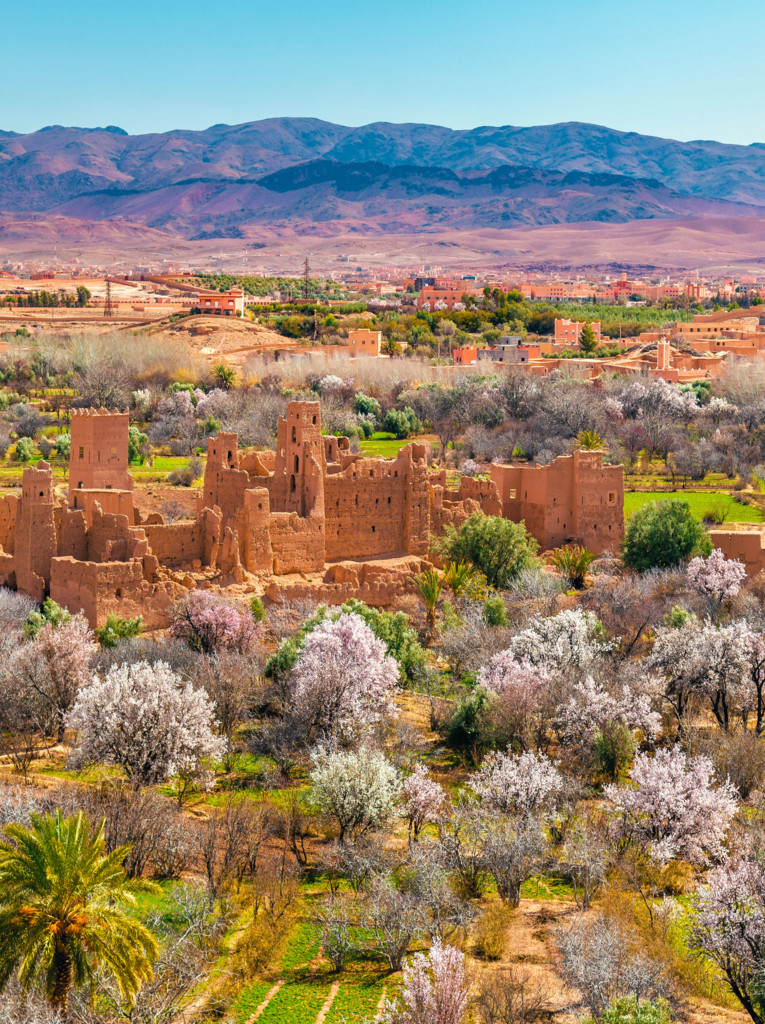 Ruins of a Kasbah in the Valley of Roses - Morocco, North Africa