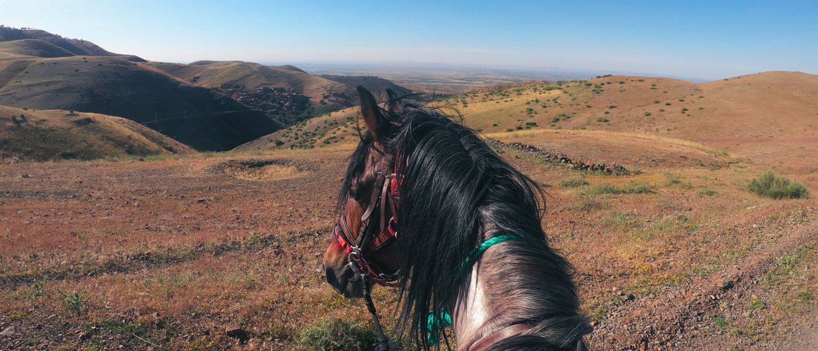horse riding in Atlas